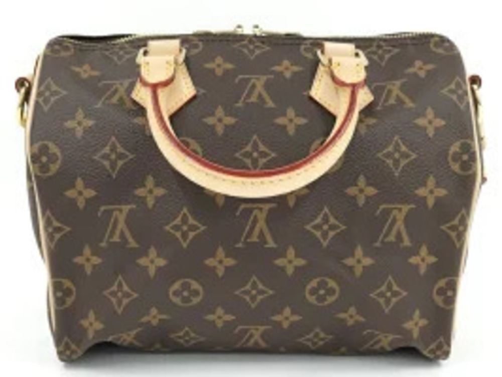 Louis Vuitton handbag Speedy Monogram Brown